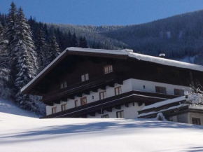 Almliesl LEOG-685 Leogang